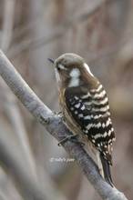 20110119_067.jpg