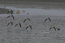 20110123_030.jpg