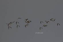 20110123_035.jpg