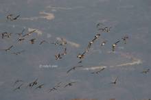 20110123_039.jpg