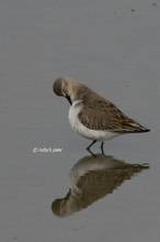 20110123_063.jpg