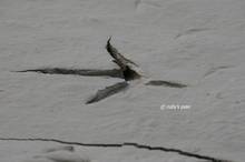 20110123_132.jpg