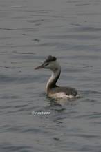 20110123_201.jpg