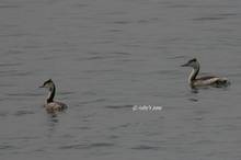 20110123_207.jpg