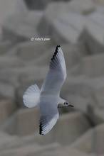 20110123_219.jpg