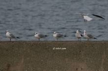 20110123_261.jpg