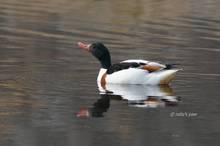 20110123_287.jpg