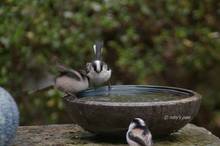 20110125_004.jpg