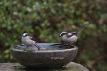 20110125_009.jpg