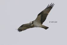 20110130_057.jpg