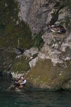20110130_224.jpg