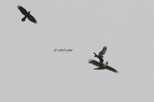 20110130_261.jpg