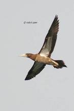 20110205_345.jpg