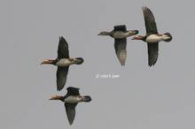 20110206_081.jpg