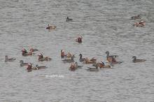 20110206_229.jpg