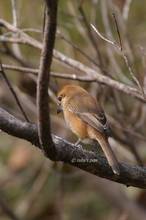 20110208_009.jpg