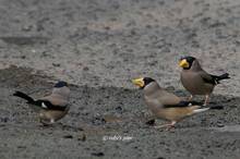 20110208_085.jpg