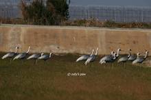 20110212_042.jpg