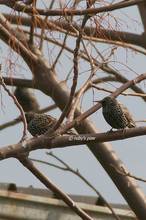 20110212_066.jpg