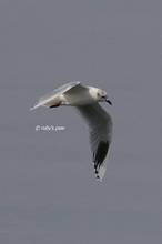 20110213_002.jpg