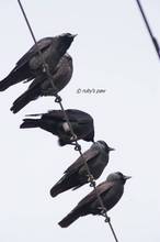 20110213_045.jpg