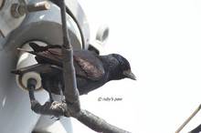20110213_064.jpg