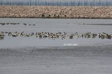 20110213_191.jpg
