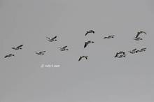 20110213_199.jpg