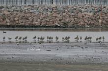 20110213_200.jpg