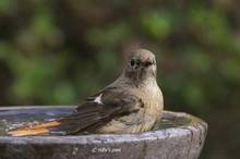 20110220_016.jpg