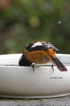 20110220_029.jpg