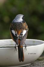 20110220_032.jpg