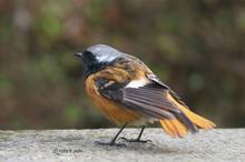 20110220_041.jpg