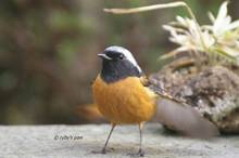 20110220_042.jpg