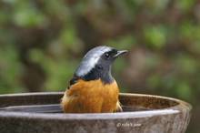 20110220_043.jpg