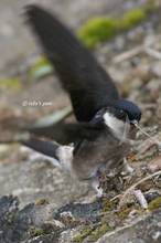 20110220_066.jpg