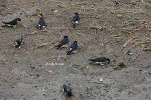 20110220_067.jpg