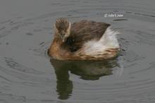 20110220_187.jpg