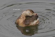 20110220_188.jpg