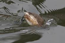 20110220_202.jpg