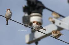 20110305_180.jpg