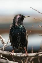 20110305_259.jpg