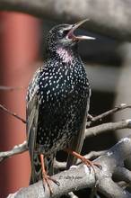 20110305_277.jpg