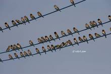 20110305_304.jpg