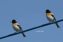 20110305_308.jpg