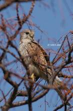 20110305_350.jpg
