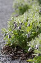 20110319_005.jpg