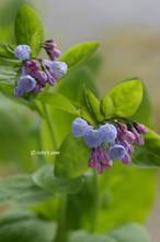 20110319_014.jpg