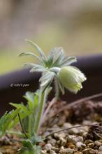 20110319_032.jpg