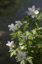 20110401_029.jpg